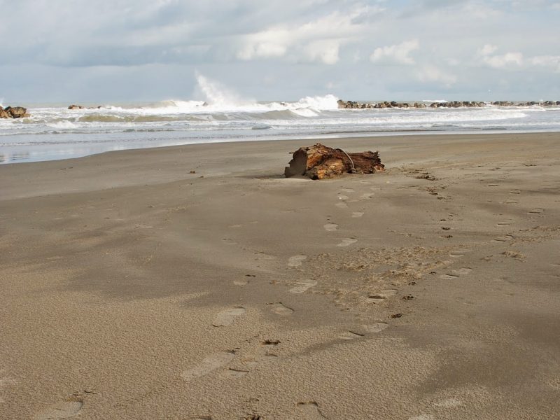 Mare. Spotorno.